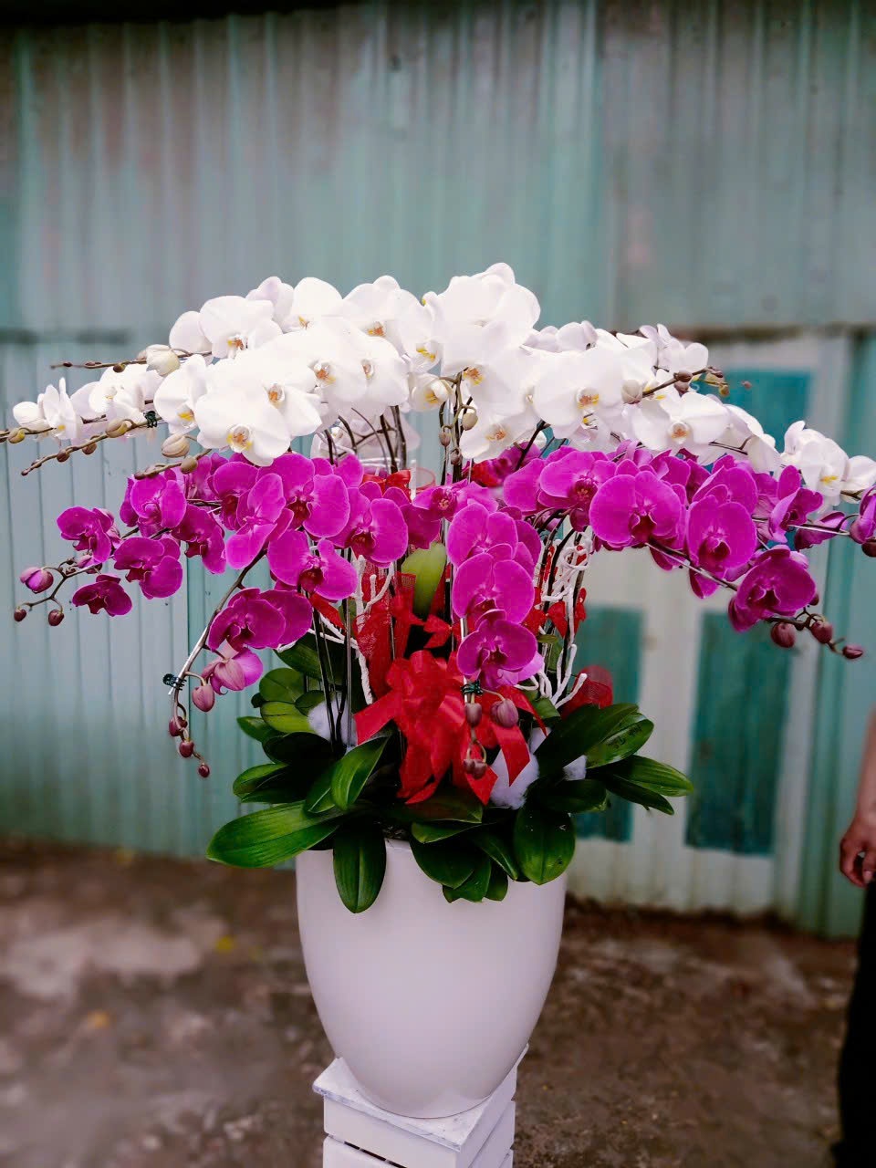 Giỏ hoa chúc mừng , Hoa mừng sinh nhật