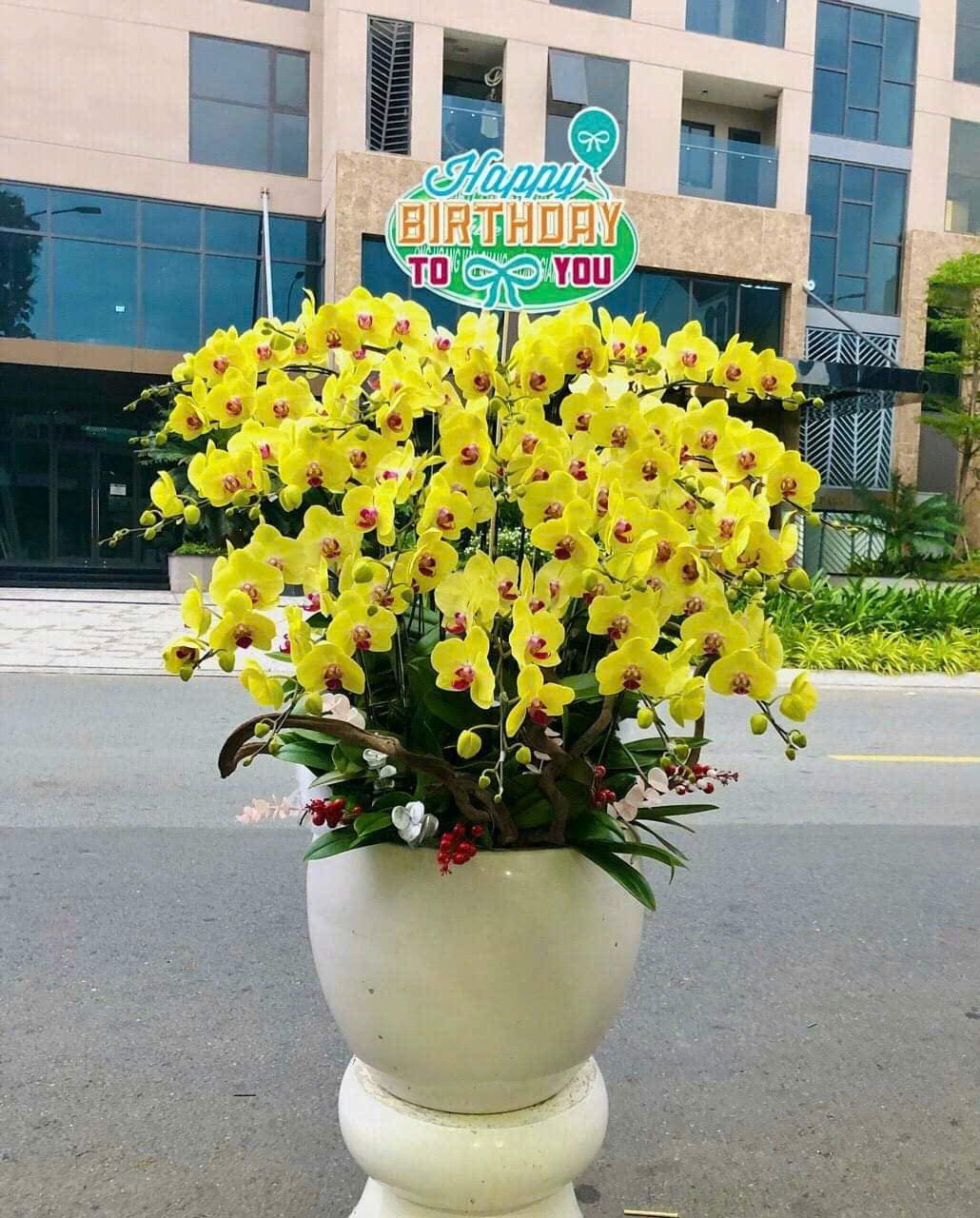 Giỏ hoa chúc mừng , Hoa mừng sinh nhật