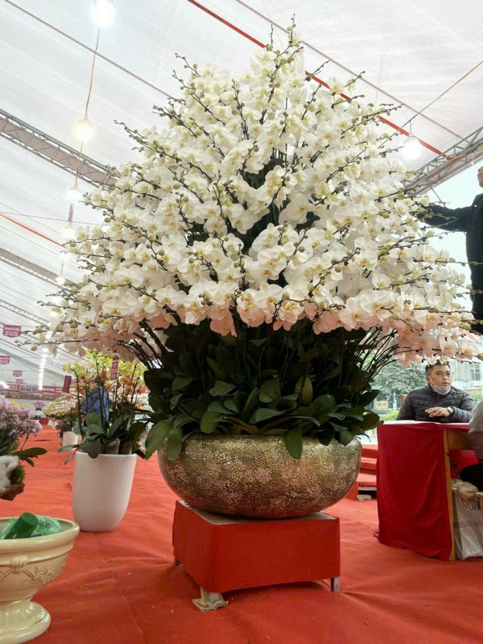 Giỏ hoa chúc mừng , Hoa mừng sinh nhật