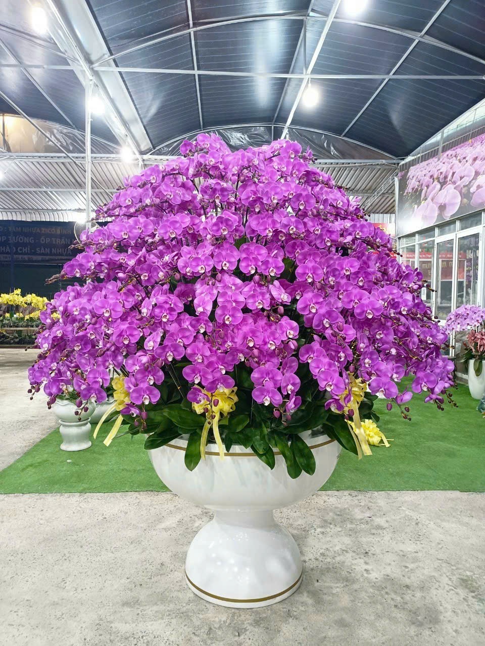 Giỏ hoa chúc mừng , Hoa mừng sinh nhật