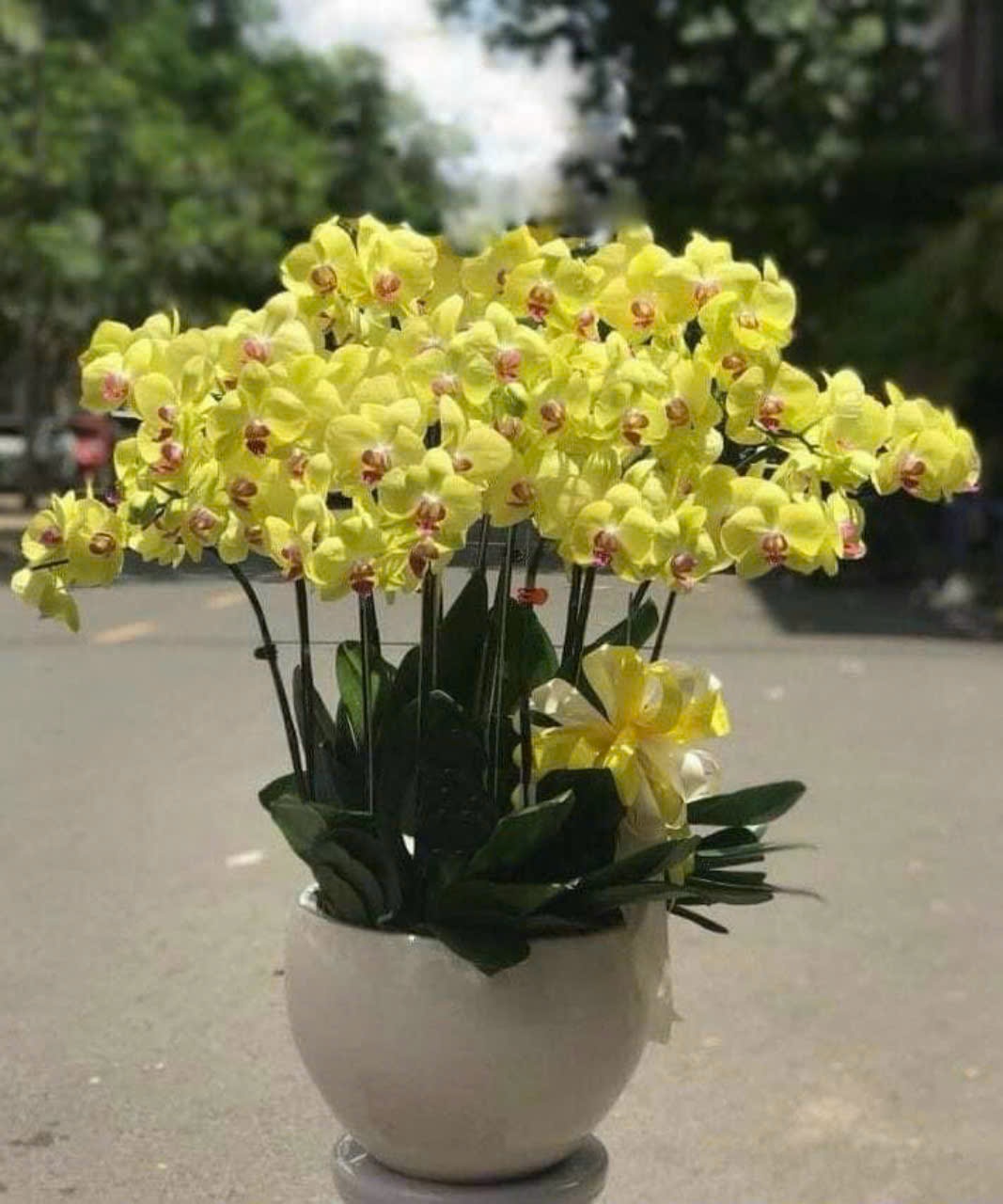 Giỏ hoa chúc mừng , Hoa mừng sinh nhật