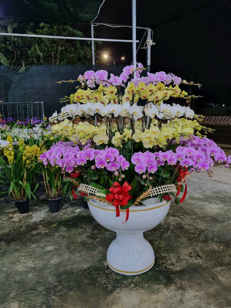 Giỏ hoa sinh nhật, hoa chúc mừng khai trương